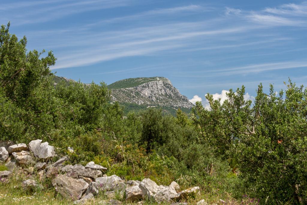 Apartment Panorama Holidays Kastel Stari